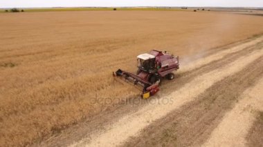 Büyük bir altın alan ve bir birleştirme hasat kırpma hasat hava atış
