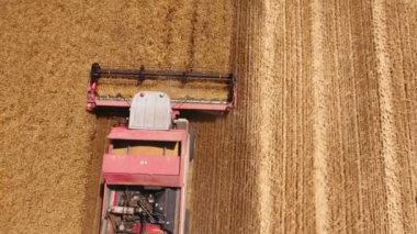 Hava yukarı aşağı altın buğday Ukrayna'da getting bir kırmızı birleştirmek hasat resmini