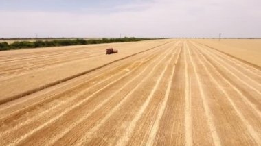 Hava atış büyük bir hasat büyük bir alan üzerinde buğday hasat bitirme birleştirmek