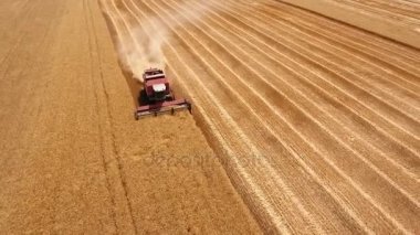 Yaz aylarında Ukrayna altın buğday hasat bir birleştirme hasat hava atış