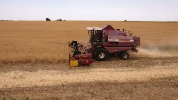 Luftaufnahme eines Mähdreschers, der im Sommer reifen Weizen in der Ukraine erntet — Stockvideo