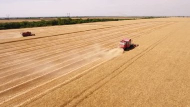 Hava iki birleştirmek biçerdöver ona buğday alan ve arkalarında toz bulutu