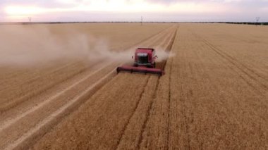 Bir birleştirme hasat üzerinde eski bir dostum ile sınırsız bir altın alanının hava atış