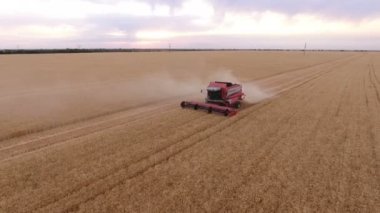 Bir buğday alanında çok sayıda uzun çizgiler yapmak bir birleştirme hasat hava atış