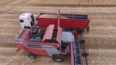 Aç kutusuna yatakta bir damperli kamyon, yükleme bir kırmızı birleştirmek hasat Nikolaev, Ukrayna - Haziran 29, 2017:Aerial çekim