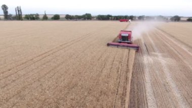 Yaz aylarında buğday hasat bir modern birleştirmek hasat Nikolaev, Ukrayna - Haziran 29, 2017:Aerial 360 derece çekim