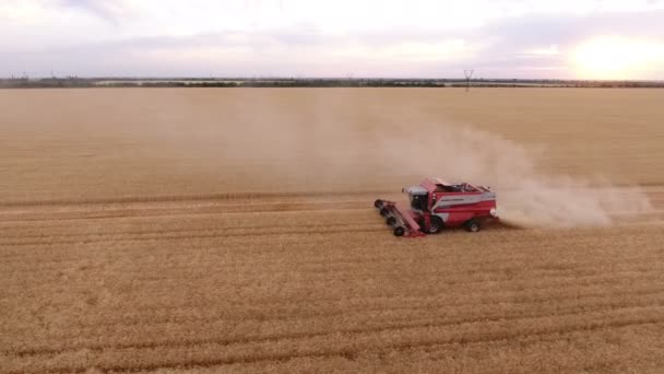 Nikolaev, Ukrajina - 29. června, 2017:Aerial záběr obrovský zlatý pole a mlhavé kombajn sklízí plodiny — Stock video