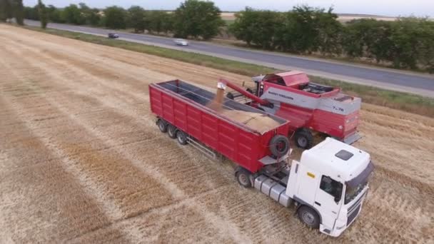 Nikolaev, Oekraïne - 29 juni, 2017:Aerial shot van een combine harvester laden een open vak Kipper met tarwe — Stockvideo