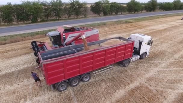 Nikolaev, Ucrania - 29 de junio de 2017: Aerial shot of a combine harvester loading an open box bed of a dump truck — Vídeo de stock