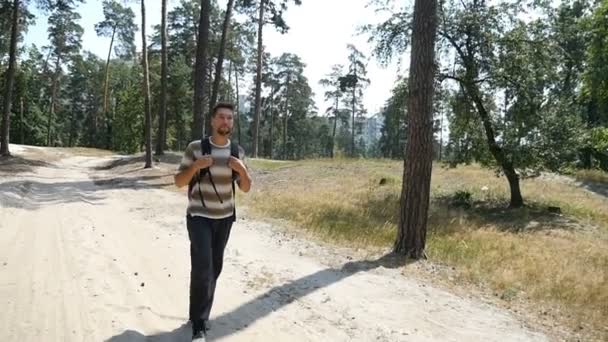 Расслабленный мужчина с рюкзаком летом в замедленной съемке гуляет в сосновом лесу — стоковое видео