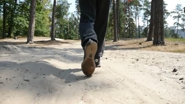 Ноги чоловіка в кросівках ходять лісовою стежкою в сонячний день у повільному русі — стокове відео