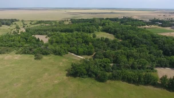 Luftaufnahme von grünen Wiesen mit Feldwegen und Waldgebieten an einem sonnigen Tag, — Stockvideo