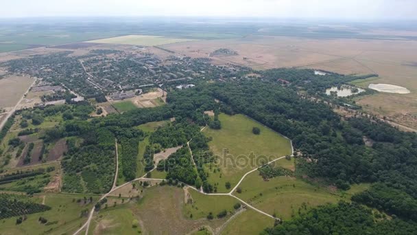 Повітряний знімок зелених газонів з сільськими дорогами та лісовими зонами на сонячний день , — стокове відео