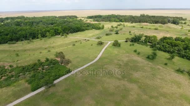 Luchtfoto van groene weilanden met counrty wegen en hout gebieden op een zonnige dag — Stockvideo