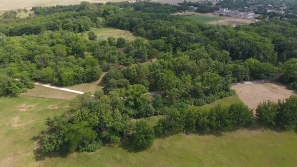 Foto aérea de un gran parque verde con carreteras, césped limpio y cortado, en verano — Vídeo de stock