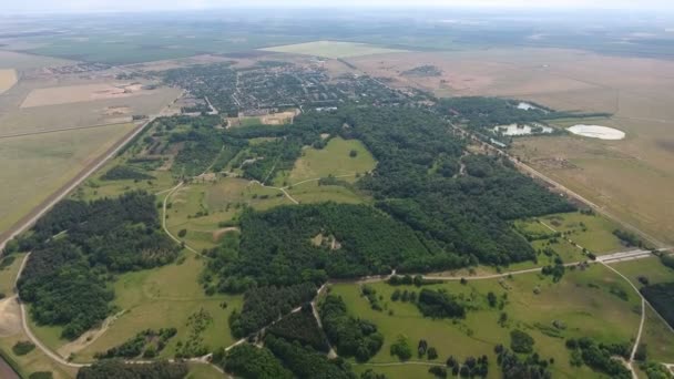 Foto aérea de un pintoresco bosque de pinos entre amplios campos agrícolas — Vídeo de stock