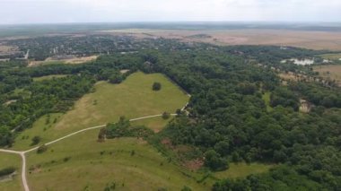 Bir çayır, çam ormanları ve o düz footways Ukrayna Hava atış