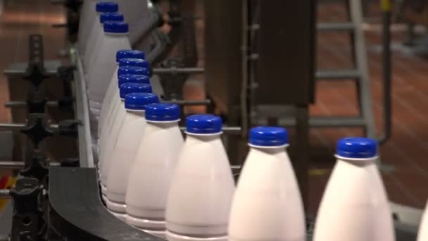 Sebuah lini produksi dengan botol susu putih di pabrik produk susu di Ukraina — Stok Video