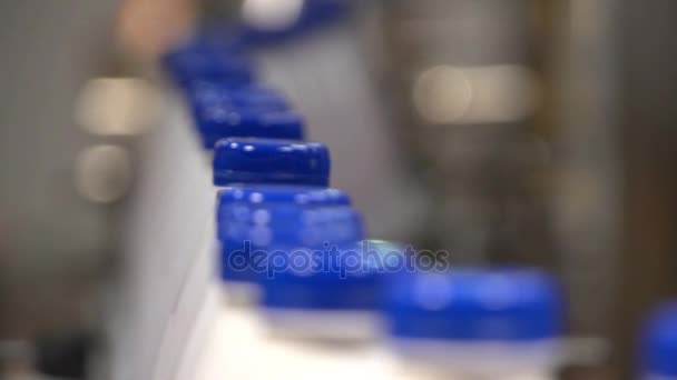 Uma linha de transporte com garrafas de leite em uma moderna fábrica de laticínios na Ucrânia — Vídeo de Stock