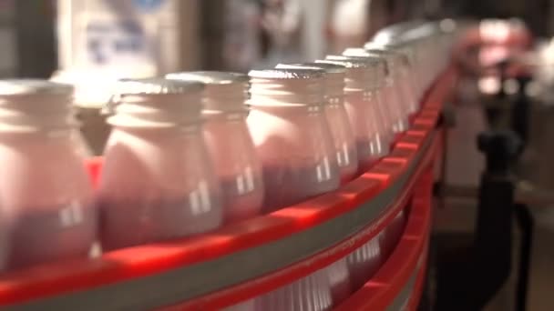 Bottiglie di yogurt di plastica bianca in una linea all-over su una nuova linea di trasportatori — Video Stock