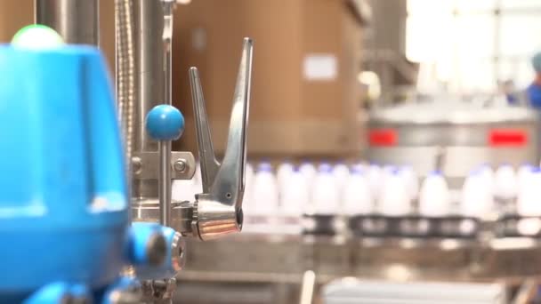 Μπουκάλια γάλα σε μια συνεχή γραμμή βόλτα σε μια γραμμή παραστατικά μεταφοράς σε ένα εργοστάσιο — Αρχείο Βίντεο