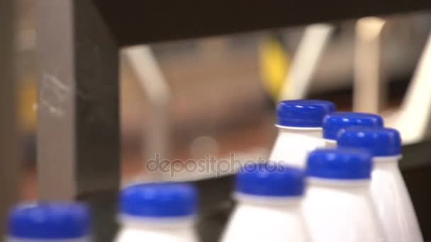 Botellas de leche en grupos pequeños montan en una línea transportadora figurativa en Ucrania — Vídeos de Stock