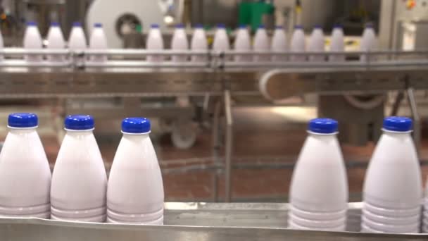 Una línea transportadora figurativa con botellas de leche en movimiento en una planta de alta tecnología, Ucrania — Vídeo de stock