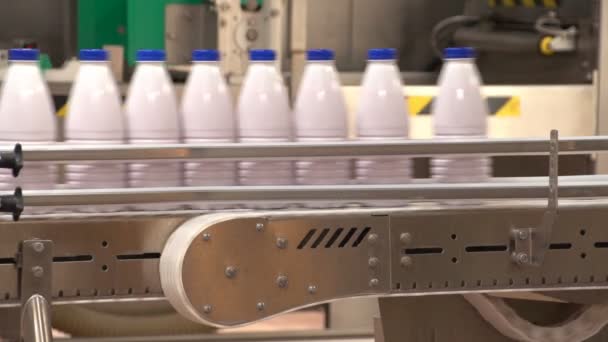 A conveyor line with moving milk bottles at a modern plant in Ukraine — Stock Video