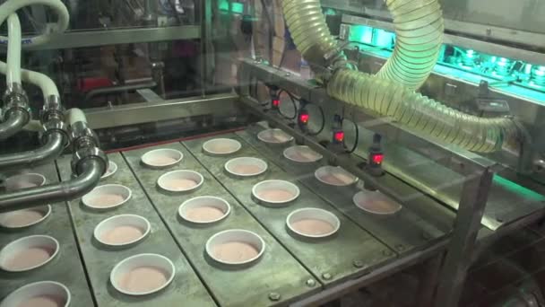 Μια γραμμή μεταφοράς με πλάκες για γιαούρτι σε ένα σύγχρονο γαλακτοκομικό προϊόν εργοστάσιο στην Ουκρανία — Αρχείο Βίντεο