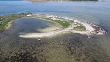 Hava atış Dzharylhach curvy kumlu alanlarda ve yaz aylarında yeşil sulak