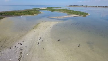 Karabatak ile tükürmek Dzharylhach Adası'nda Karadeniz hava atış shoal