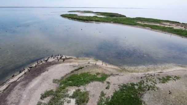 Luchtfoto van Dzharylhach snaky op zanderige Zoek spit met wetland in de zomer — Stockvideo
