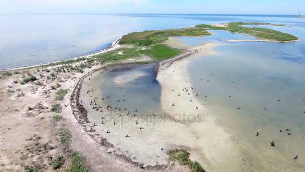 Luchtfoto van Dzharylhach bochtige zandige kust met groene waterrijke gebieden in de zomer — Stockvideo