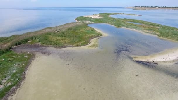 砂地と雑草と Dzharylhach で黒海の浅瀬の空中ショット — ストック動画
