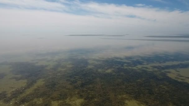 Dzharylhach 在夏天对浅滩上鸟瞰图的多彩多姿的杂草 — 图库视频影像