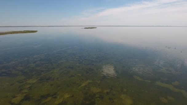Bird`s eye view of green weeds on the shoal of Dzharylhach in summer — Stock Video