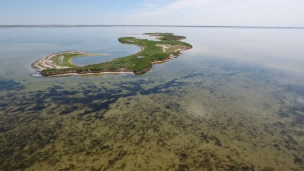 Вид с высоты птичьего полета на зеленые водно-болотные угодья на отмели Джарылхача летом — стоковое видео