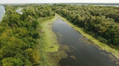 Küçük vahşi adacık ve girişleri Dnipro havzasında yaz aylarında hava atış