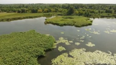 Yeşil bulrush adacıkları, küçük girişleri Dnipro Havzası, hava atış 
