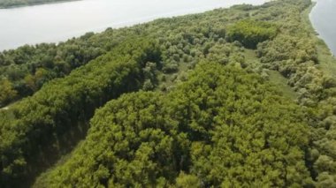 Nehir adacık ağaçları ile yaz Dnipro havzasında, giriş akımı hava atış