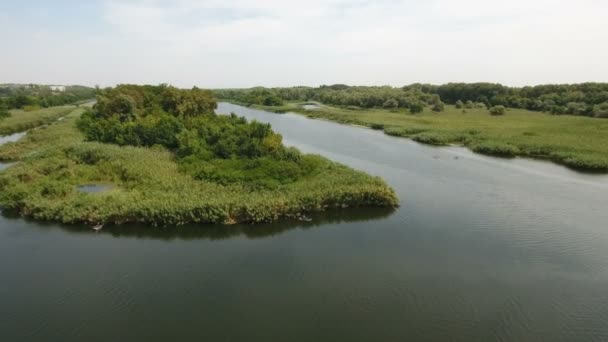 Luftaufnahme von zwei engen Zuflüssen und einer grünen Insel im Dnipro-Becken — Stockvideo