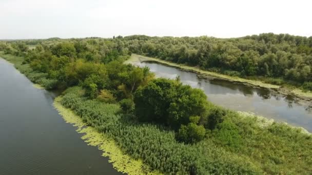 Luftaufnahme einer winzigen wildgrünen Insel, Zuflüsse im Dnipro-Becken im Sommer — Stockvideo