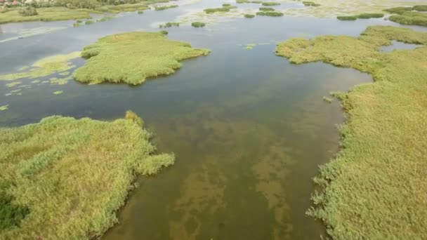 Aerial shot of rotten looking wetland in the Dnipro basin on a sunny day — Stock Video