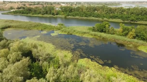 Letecký snímek dva přílivy a několik zelených ploch v povodí řeky Dněpr v létě — Stock video