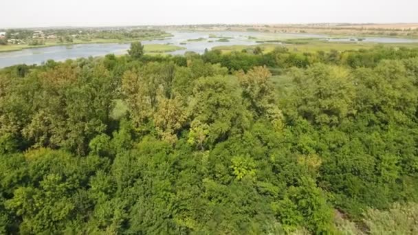 Tiro aéreo de uma pequena ilhota com altas árvores verdes na bacia do Dnipro no verão — Vídeo de Stock