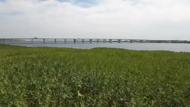 Colpo aereo di palude verde sulla riva del Dnipro in una giornata di sole in estate — Video Stock