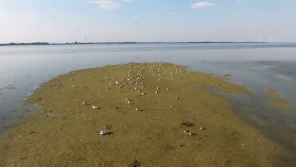 Tiro aéreo de manchas de zonas húmidas acastanhadas não muito longe de Dzharylhach à noite — Vídeo de Stock