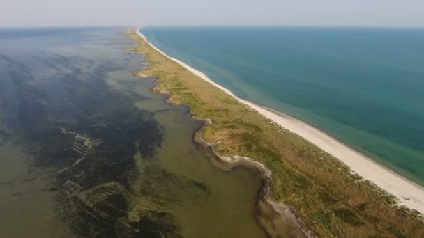 Aerial strzał o piaszczyste wybrzeże wyspy Dzharylhach z chwastami pobliżu latem — Wideo stockowe