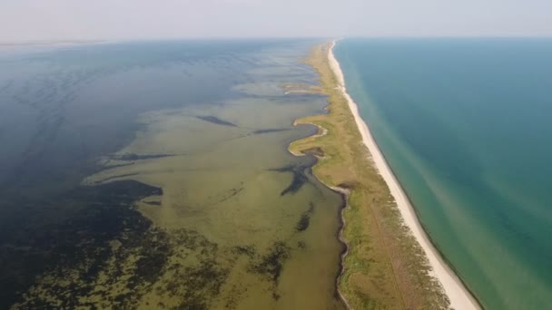 Aerial shot of a straight sand spit with weeds on Dzharylhach in the morning — Stock Video