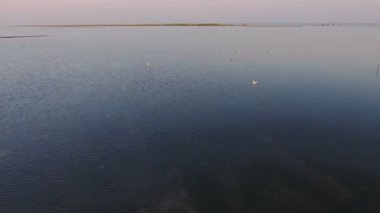 Karadeniz suda yüzmek ve gün batımında uçup martılar hava atış